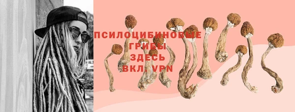 стафф Богородицк