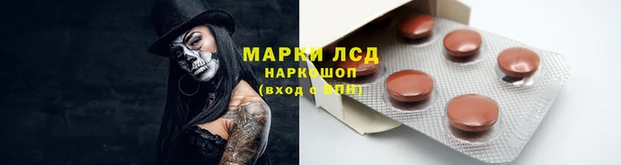 стафф Богородицк
