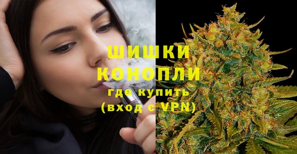 стафф Богородицк
