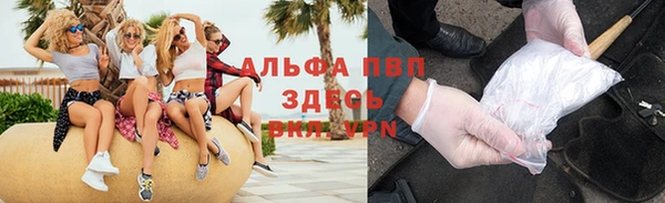 стаф Зеленокумск